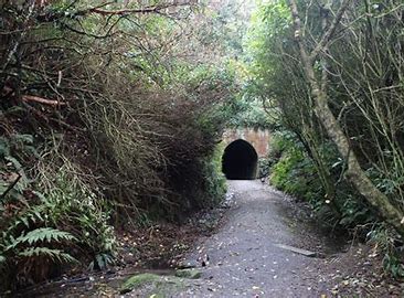 Tunnel Hill - Owaka Thumbnail
