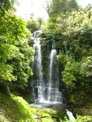 Waitanguru Falls Walk Thumbnail