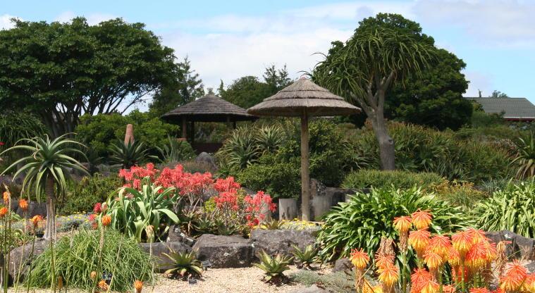 Auckland Botanical Gardens Thumbnail