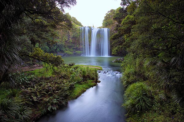 Otuihau Whangārei Falls Thumbnail