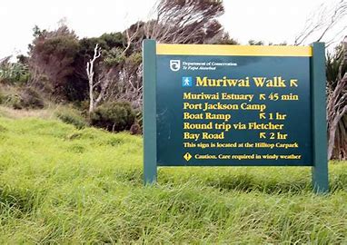 Muriwai Walk
