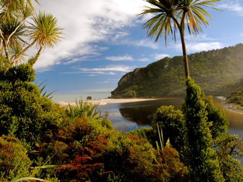 The Heaphy Track Thumbnail