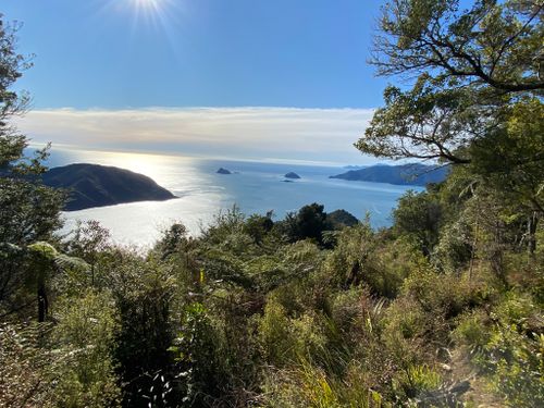 Goat Hill Scenic Lookout