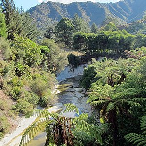 Waitahinga Trails Thumbnail