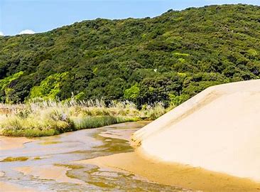 Te Paki Stream Giant Sand Dunes Thumbnail