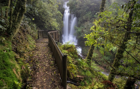Mangaotaki Walk & Waitanguru Falls Walk Thumbnail