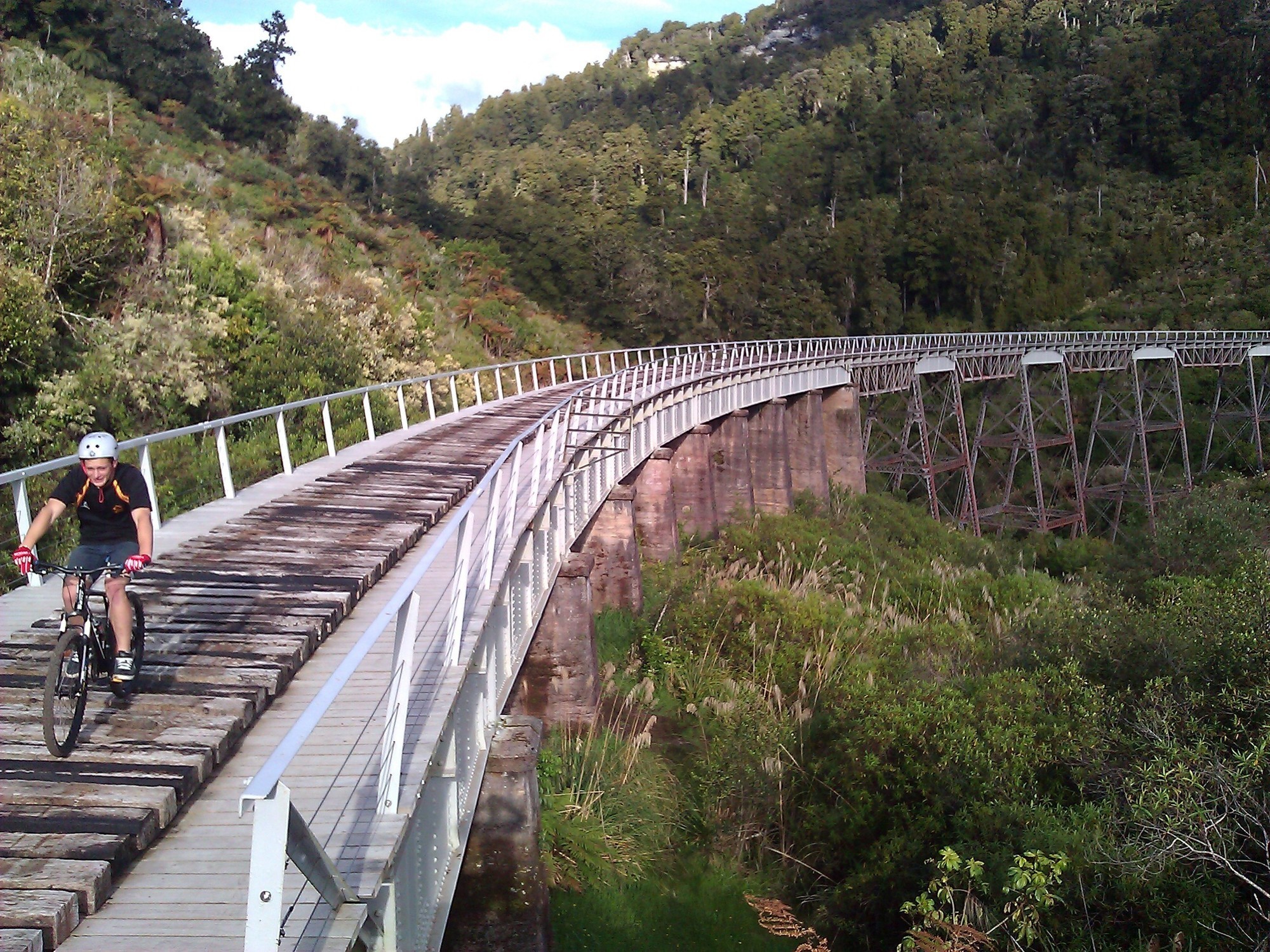Hapuawhenua Viaduct Thumbnail